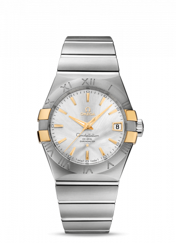 Constellation Co-Axial 38 Stainless Steel / Yellow Gold Claws / Silver