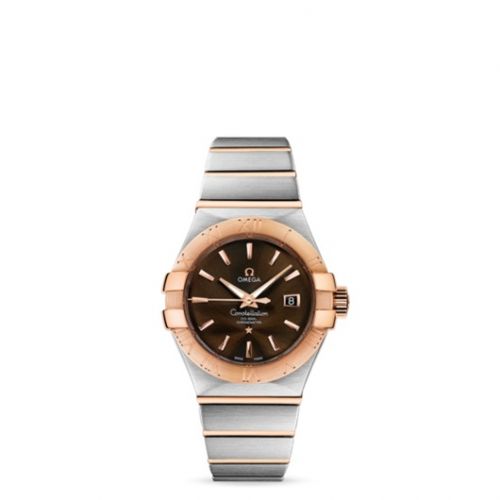 Constellation Co-Axial 31 Stainless Steel / Red Gold / Brown