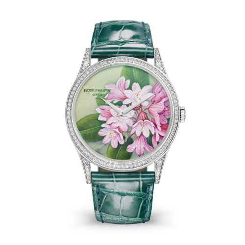 Calatrava 5077 White Gold / Portrait of Flowers