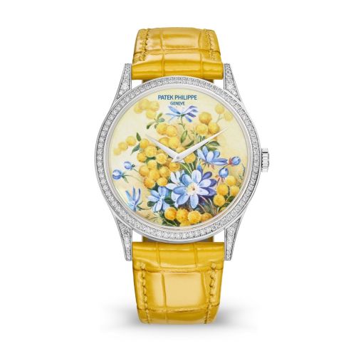 Calatrava 5077 White Gold / Portrait of Flowers