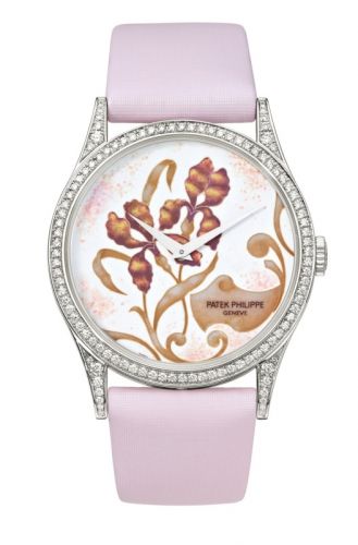 Calatrava 5077 Floral Arabesques