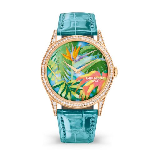 Calatrava 5077R Tropical Plants / Strelitzias