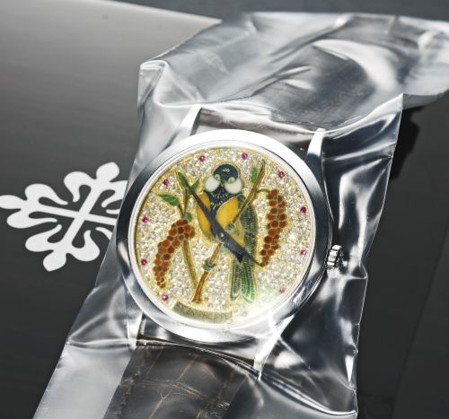 Calatrava 5077 Parrot