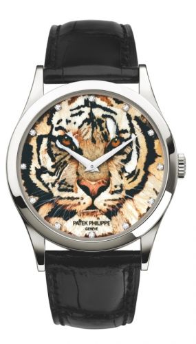 Calatrava 5077 Royal Tigers