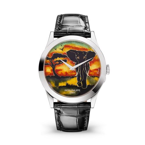 Calatrava 5089 White Gold / African Elephant