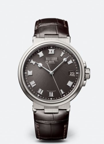 Marine 5517 Titanium / Slate Grey / Alligator