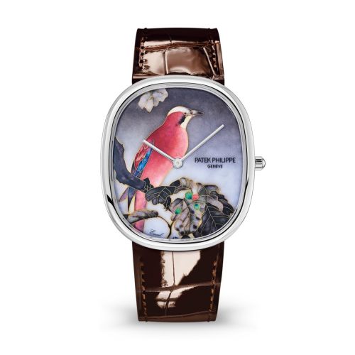Golden Ellipse 5738 White Gold / Japanese Prints