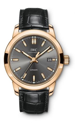 Ingenieur Automatic Red Gold / Slate