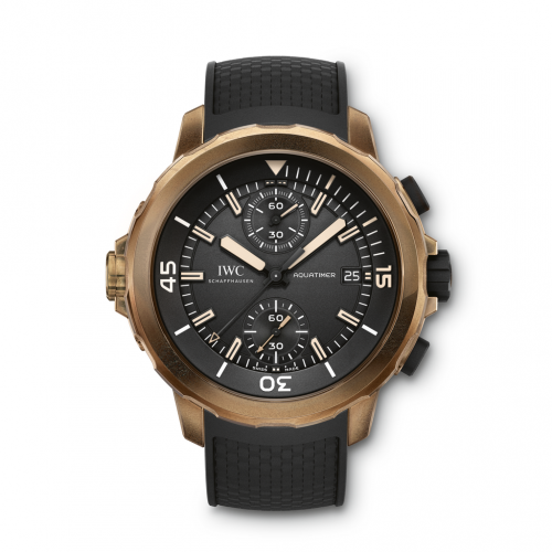 Aquatimer Chronograph Edition Expedition Charles Darwin